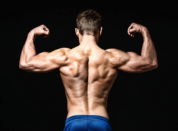 istock Rear view of muscular man flexing muscle 493622378