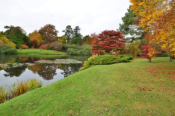 istock English garden in Autumn/ Fall 493622414