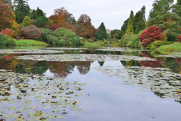 istock English garden in Autumn/ Fall 493622576
