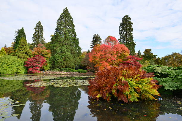istock English garden in Autumn/ Fall 493622824