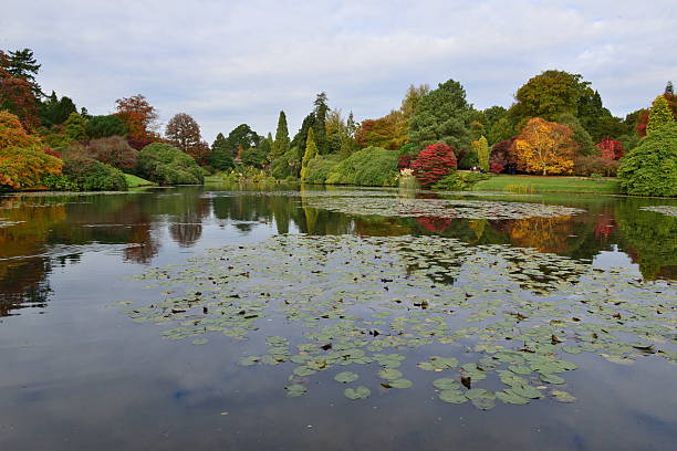 istock English garden in Autumn/ Fall 493622866