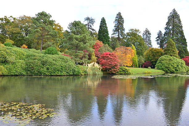 istock English garden in Autumn/ Fall 493623078
