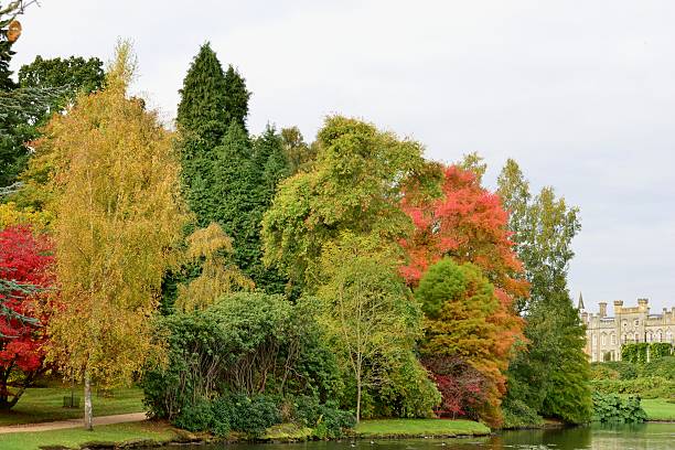 istock English garden in Autumn/ Fall 493623302