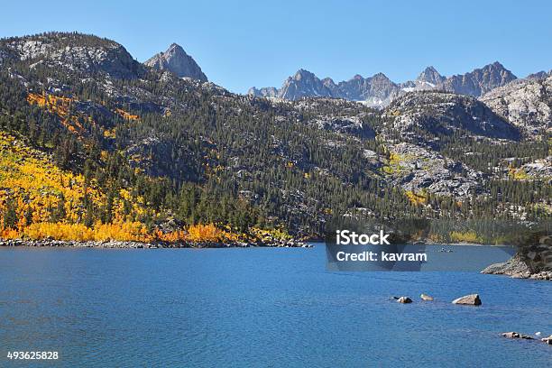 The Mountain Lake Rich With Fish Stock Photo - Download Image Now - 2015, Autumn, Beauty In Nature