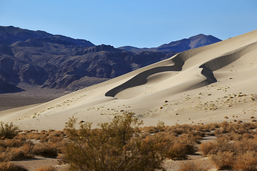The Phenomenon of Death Valley, California - a huge sand dune Eureka morning sunrise. Delightful alternation of light and shade
