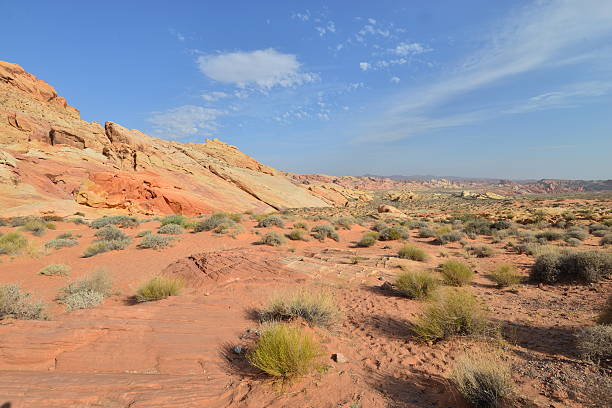 istock Valley of Fire in June 493626896