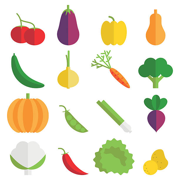 ilustraciones, imágenes clip art, dibujos animados e iconos de stock de iconos de vegetales - raw potato clean red red potato