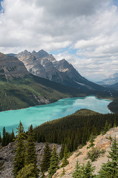 istock Peyto Lake, Banff National Park. 493630140