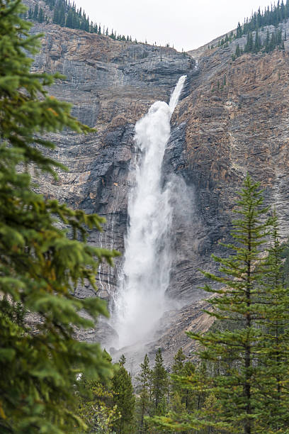 istock Takakkaw Falls in Alberta Canada 493630300