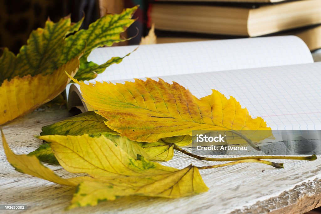 yellow autumn leaves on a blurred background notebooks and books autumn leaves on a blurred background notebooks and books Autumn Stock Photo