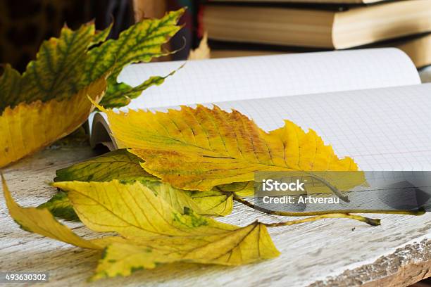 Yellow Autumn Leaves On A Blurred Background Notebooks And Books Stock Photo - Download Image Now