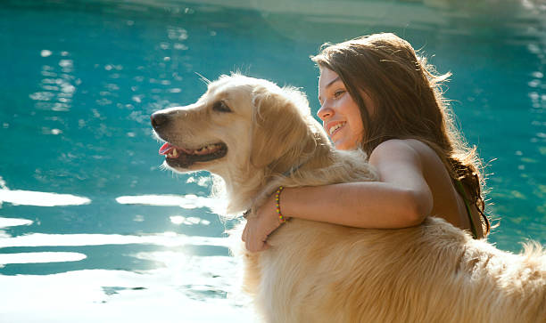 istock My dog and I 493631022
