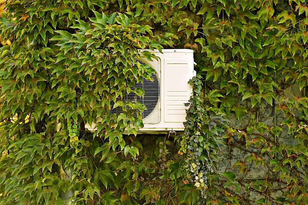 istock Green ivy on a wall with air conditioner 493631414