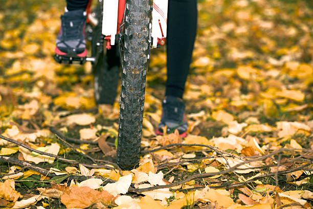 balade en vélo dans l'automne. - crossprocesed photos et images de collection