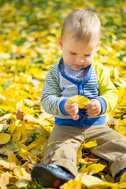 istock Baby boy in the autumn park 493632816