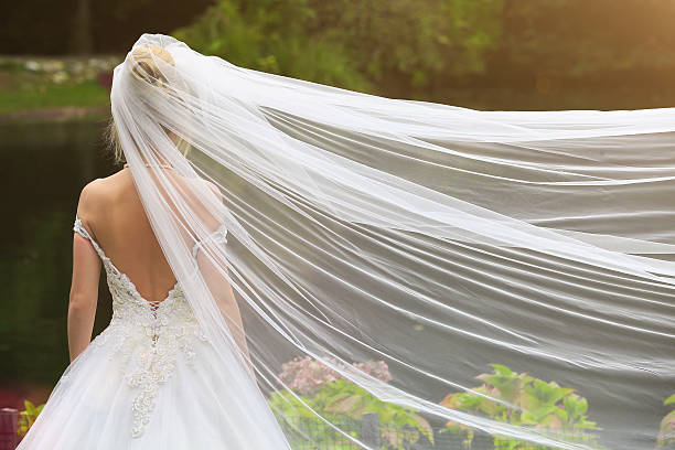 Back of Bride Image of back of bride in wedding dress veil photos stock pictures, royalty-free photos & images
