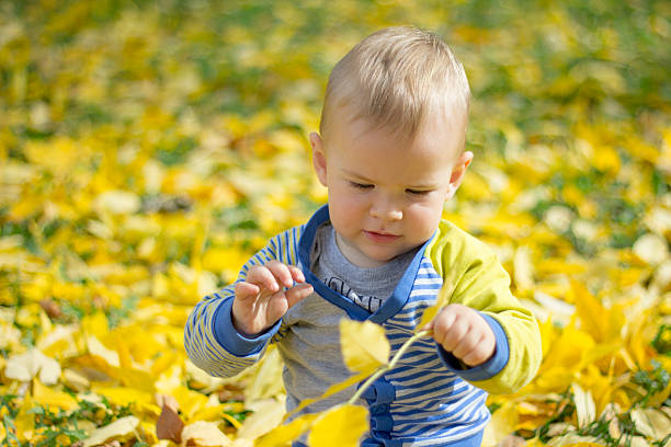istock Baby boy in the autumn park 493633534