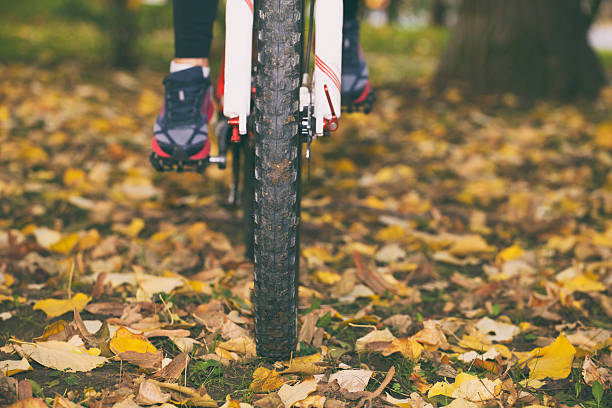 bicicletta in autunno. - crossprocesed foto e immagini stock