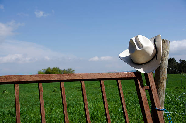 istock Cowboy hat and a fence 493635139