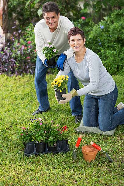 istock Couple gardening 493635767