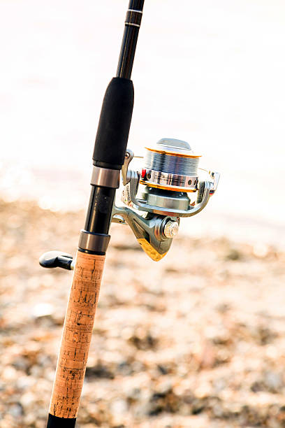 Fishing Rod And Reel Stock Photo - Download Image Now - Activity, Beautiful  People, Beauty - iStock
