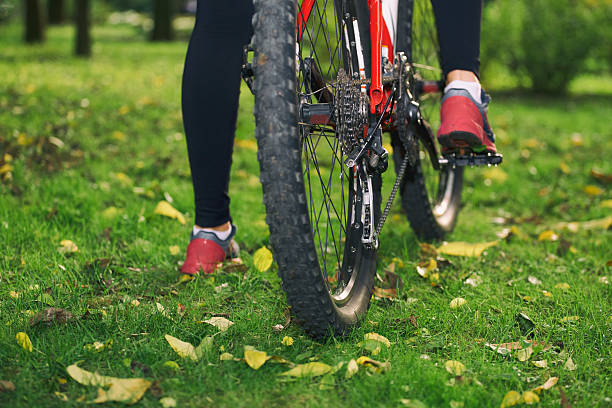 balade en vélo dans l'automne. - crossprocesed photos et images de collection