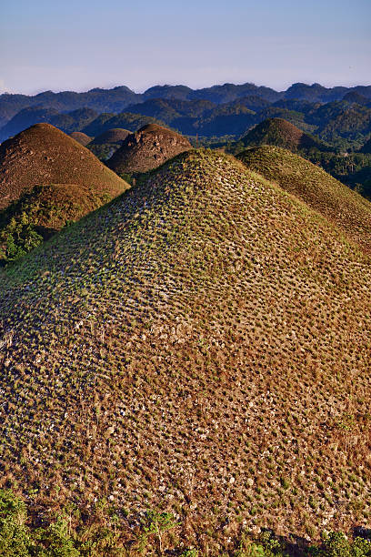 Chocolate hills Bohol Philippines Chocolate hills in Bohol in Philippines chocolate hills photos stock pictures, royalty-free photos & images
