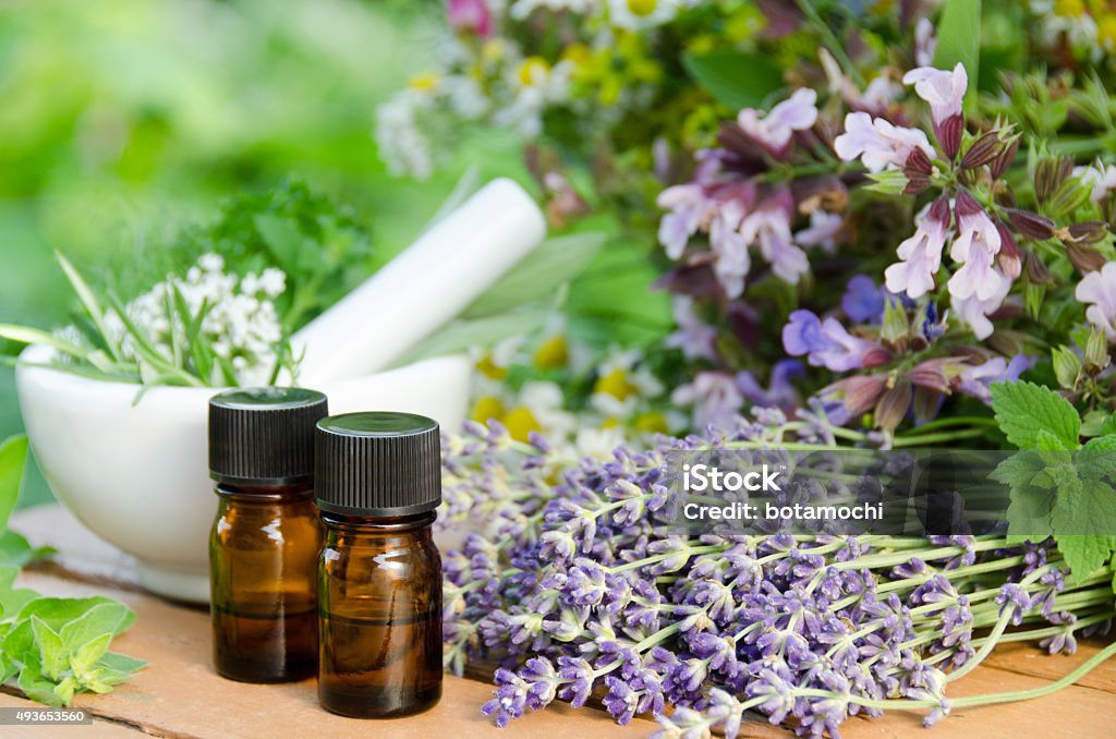 aromatherapy treatment with mortar and medicinal plants essential oils for aromatherapy treatment with mortar and medicinal plants in the garden Aromatherapy Stock Photo