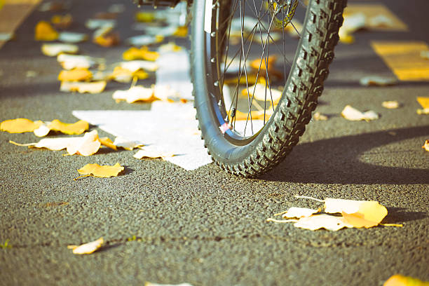 istock Bicycling in Fall. Urban concept. 493655222