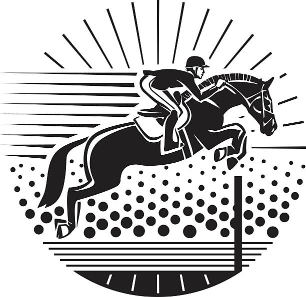 승마 스포츠. - horse show jumping jumping performance stock illustrations