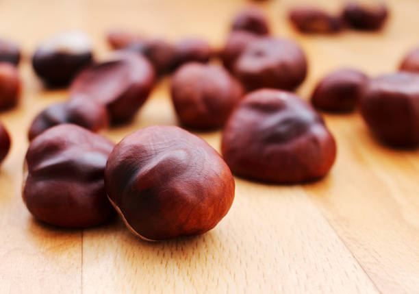 Beautiful autumn brown chestnuts on the floor stock photo