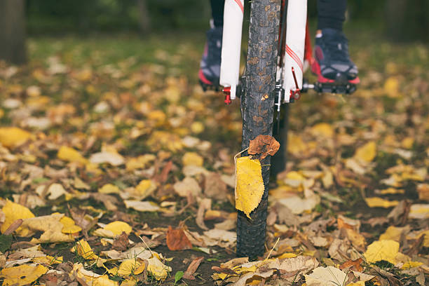 balade en vélo dans l'automne. - crossprocesed photos et images de collection