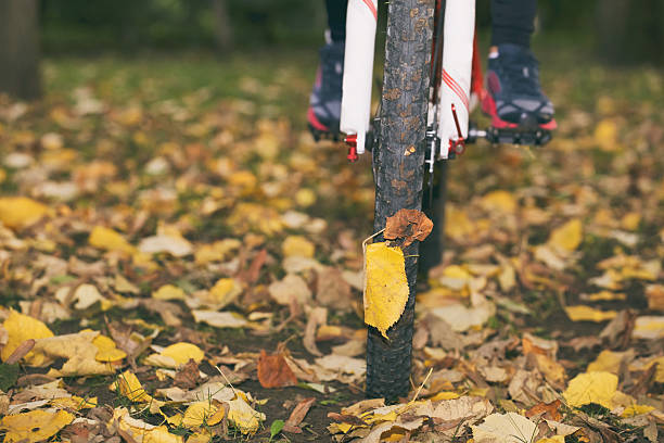 bicicletta in autunno. - crossprocesed foto e immagini stock