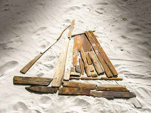 A ship made of dry driftwood on the sand.
