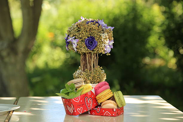 istock Colorful french macaroons 493658634