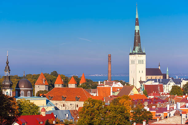 istock Aerial view old town, Tallinn, Estonia 493658800