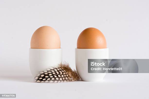 Brown Eggs In White Eggcups With Feather Stock Photo - Download Image Now - 2015, Animal Egg, Animal Shell