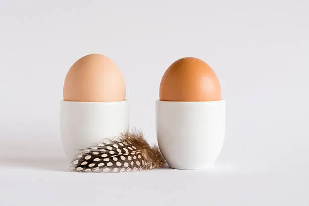 Brown eggs in white eggcups with dotted feather on white background