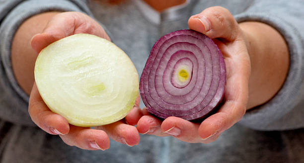 istock red and yellow onion in the hands 493662350