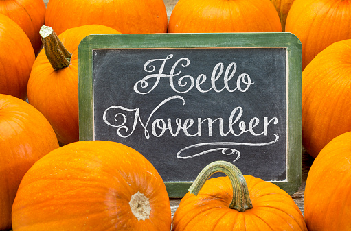 Hello November - white chalk handwriting on a vintage slate blackboard surrounded by pumpkins, Thanksgiving greetings