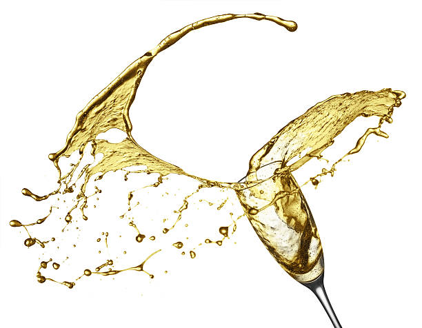 champagne splash from glass isolated on the white background
