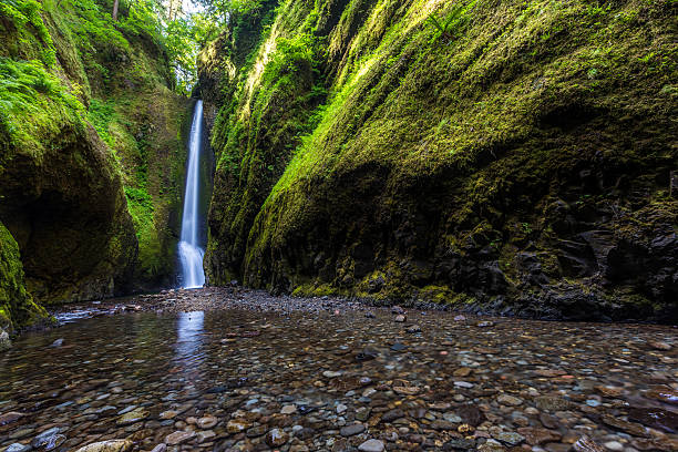 istock Beautiful nature in Oneonta Gorge trail, Oregon 493691274