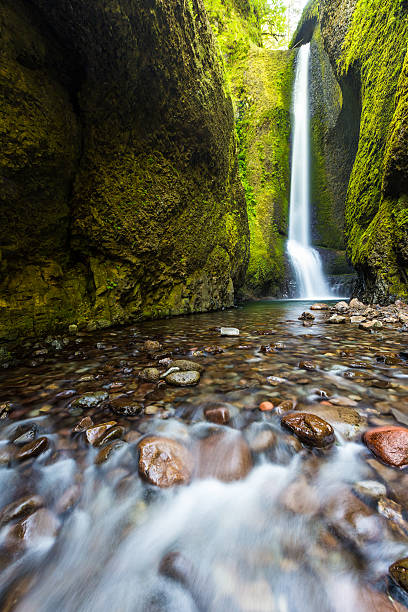 istock Lower Oneonta falls in summer, Columbia river gorge, Oregon. 493691498