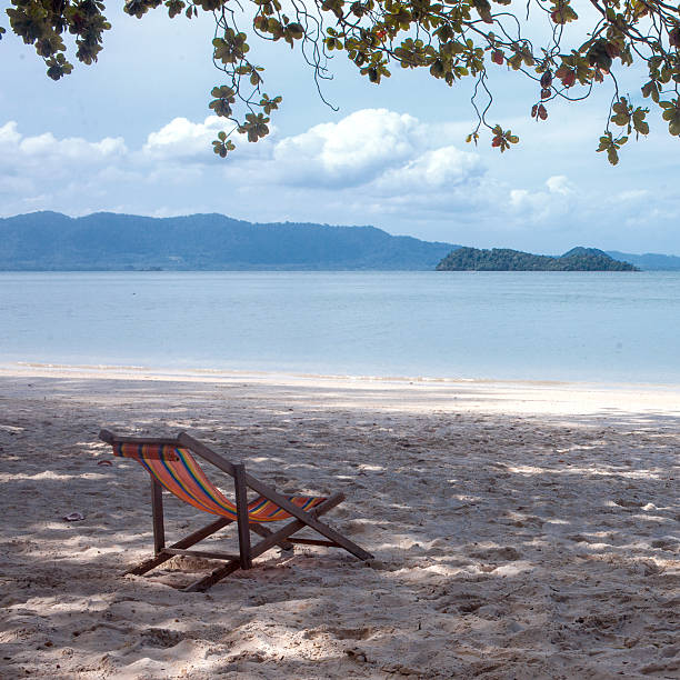 istock Beach chairs in shade on  white sand,  foreground the branches 493691976