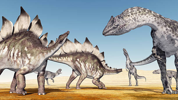 allosaurus attentati stegosauro - stegosauro foto e immagini stock