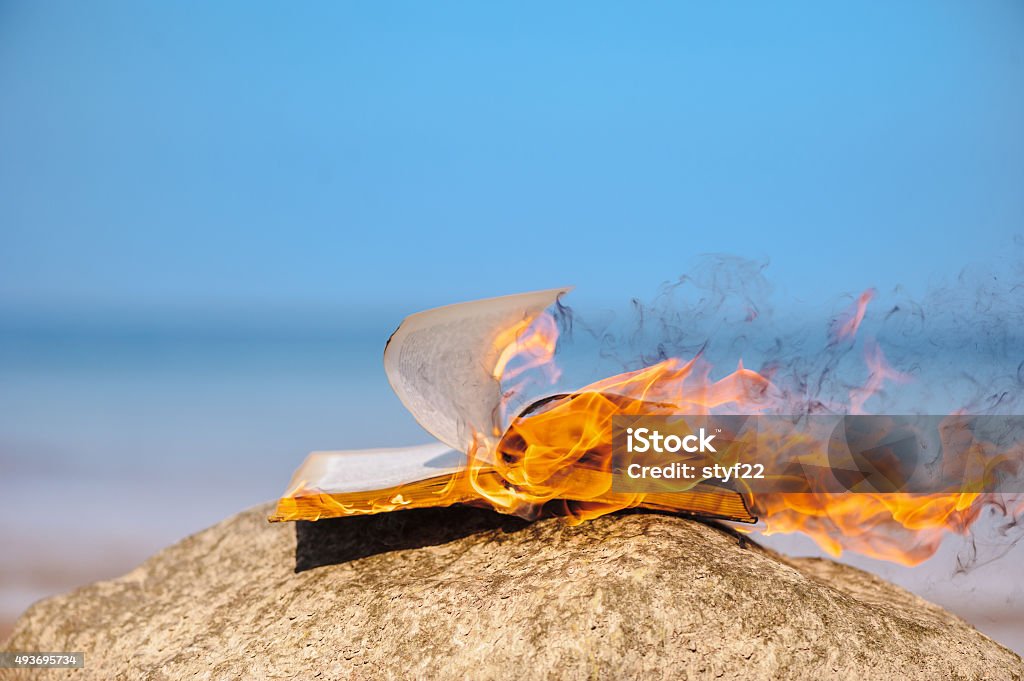 Book in flames Book in fire flames on the sea coast Bonfire Stock Photo