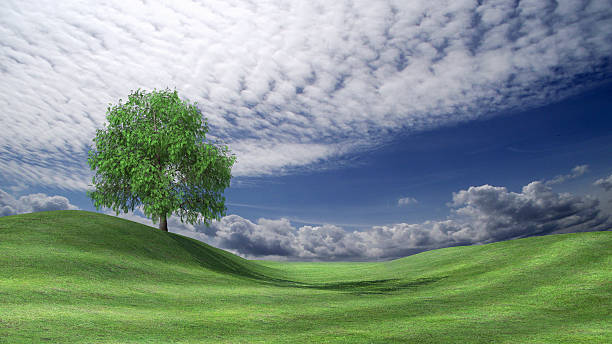 istock Stormy sky over green valley 493696906