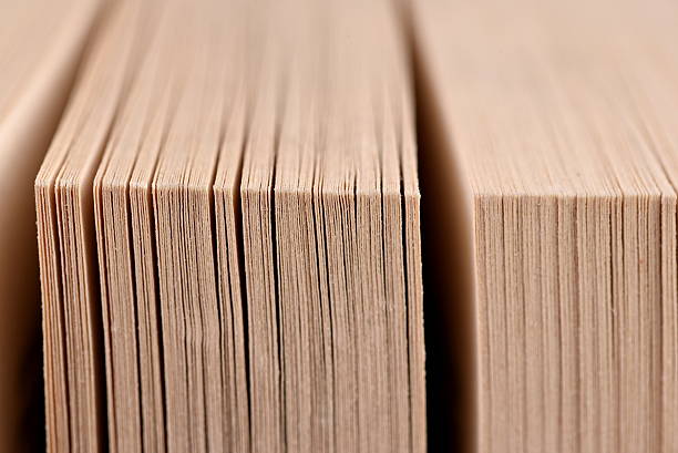 istock Close-up pages of a thick book 493698020