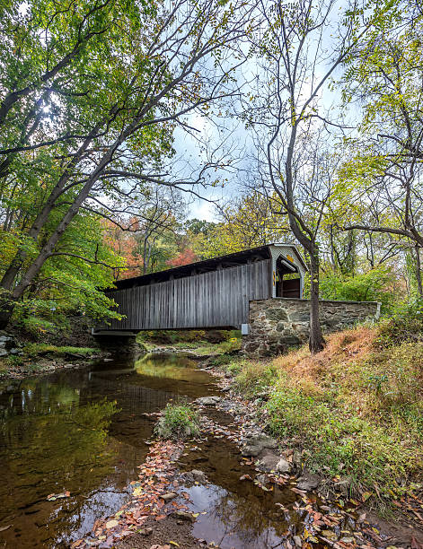 istock Covered Bridge in Pennsylvania during Autumn 493698176