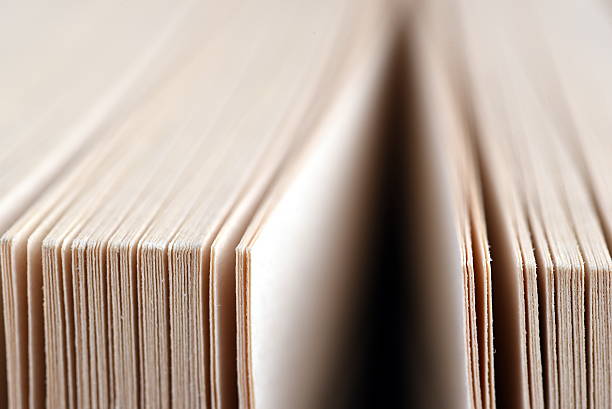 istock Close-up pages of a thick book 493699564